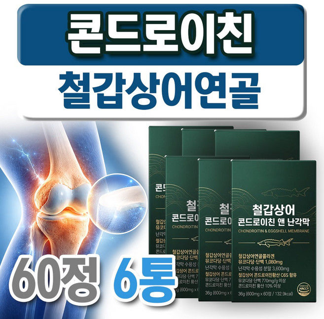 철갑상어 콘드로이친 MBP 유단백 추출물 HACCP 인증 관절 건강식품, 6개, 60정
