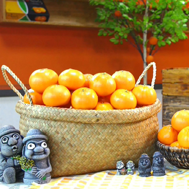 산지직송 제주 못난이 천혜향 사이즈 랜덤 가정용 제주연가, 1박스, 10kg