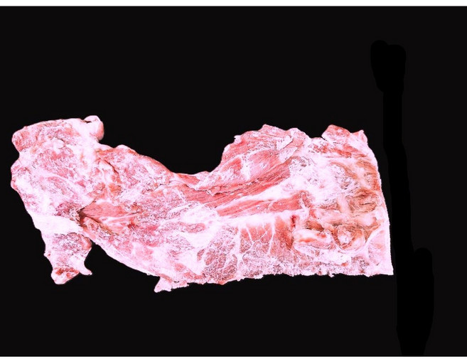 감자탕용 돼지목뼈 돈목뼈 8kg 냉동 원물 기포드 GIFFAUD 프랑스산 식당 도매 가공 업소용 수입돼지고기 찜용 감자탕용 목뼈, 1박스