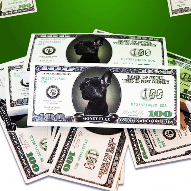 SANS 페이크 가짜 달러 80매 떡메, 1개