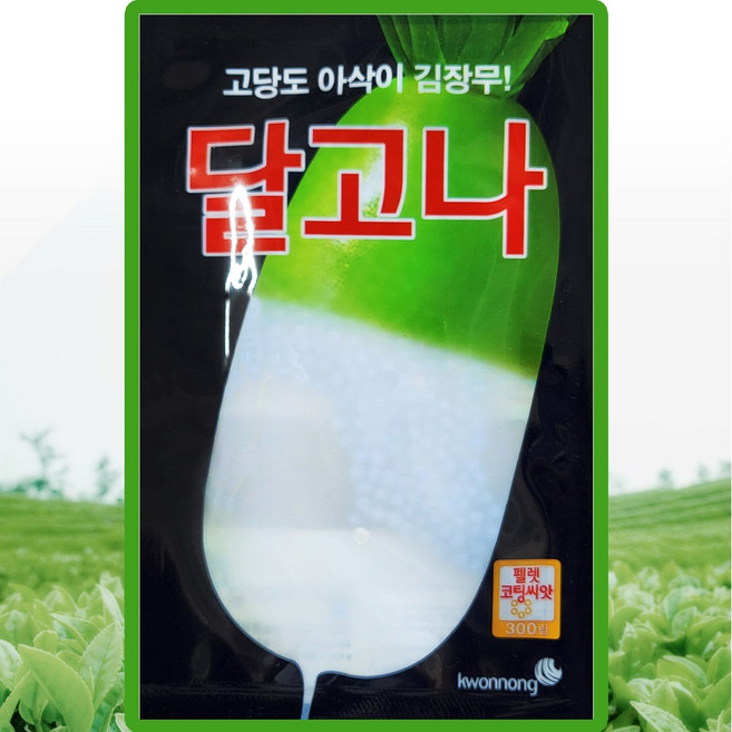 김장무 씨앗 300립 달고나 가을무씨 종자, 1개