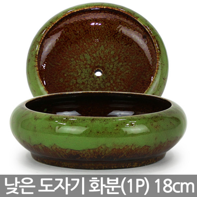 세인화분 낮은 유약 도자기 화분 1P- 다육 다육이 잎꽂이, 그린 낮은가마유약화분