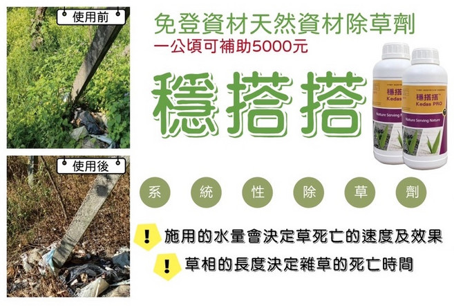 穩搭搭 系統性除草劑, 1個, 穩搭搭1L*1瓶