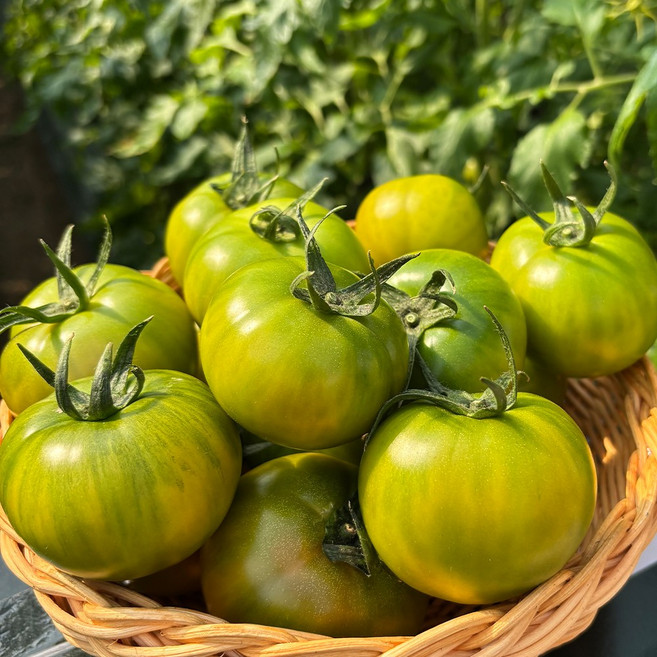 부산직송 대저토마토 5kgL, 1박스, 5kg (L)