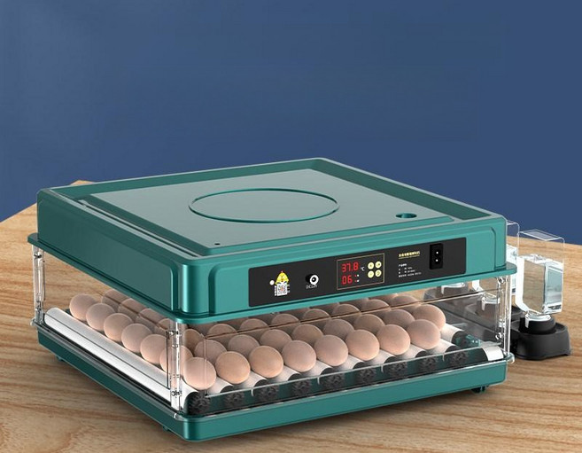 병아리 자동 부화기 달걀 육추기 오리 키우기 스마트 56알 단일 전원 일수 표시 물병 포함, 12알 단일 전원 일수 표시 물병 포함