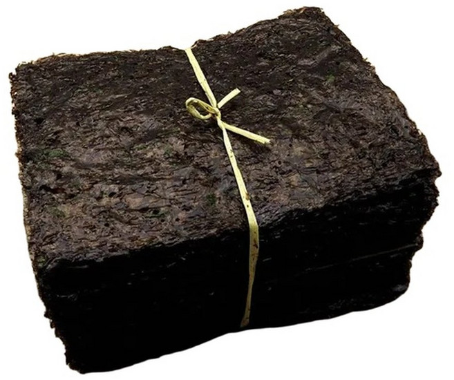 곱창김 햇곱창돌김 100장 신안 지주식 2025년 햇김, 1개