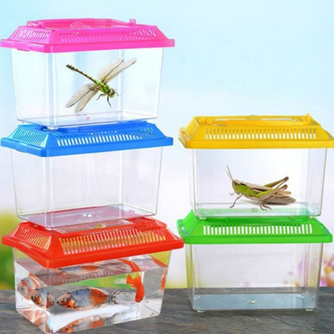 곤충 채집 관찰통 투명 사육 케이스 다슬기 물고기 어항 보관함, 1개, 1-곤충채집통-소