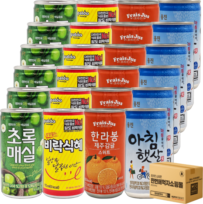 한번에먹자 패키지 업소용 미니캔 과일음료 캔음료수 초록매실 프레주 한라봉 팔도 밥알없는 비락식혜 웅진 아침햇살, 24개, 175ml
