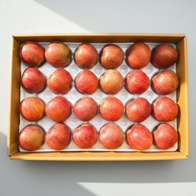농장직송 가정용 사과 부사사과, 1박스, 5kg (22-27과)