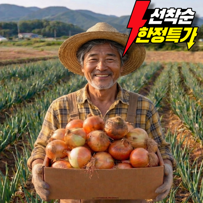 [선착순한정특가] 국내산 최상품 아삭달큰한 양파, 1박스, 5kg (특)