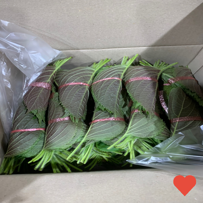 국내산 깻잎 국내재배 새벽경매, 100g, 1개, 새벽경매 깻잎 2속