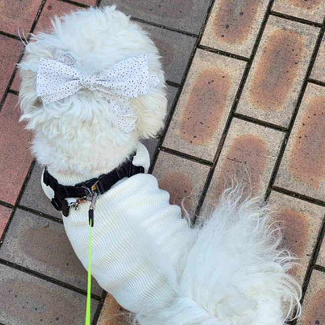 애견 필수템! 강아지 머리띠 리본 잔도트 2종 이어슈슈(귀 통풍 효과에 패션까지 챙기세요), 1개, 흰바탕블랙도트