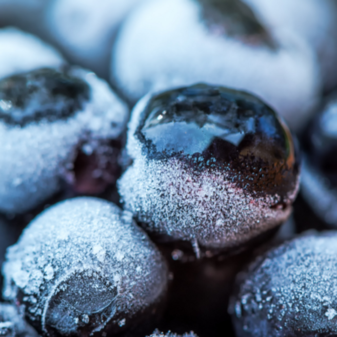 냉동 아로니아 국내산고창 줄기제거 아로니아생과, 1개, 2.5kg (특품)