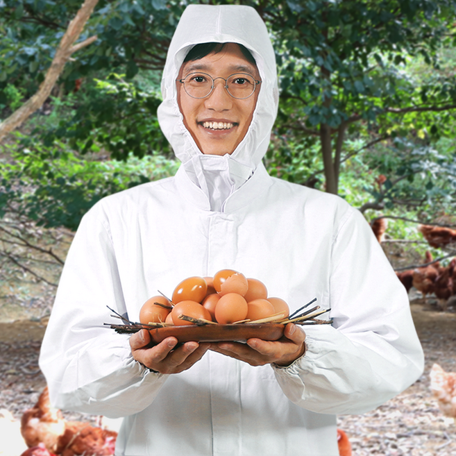 자연방사 구운란 훈제란 동물복지 1번계란 구운란 20구, 1개, 800g이상