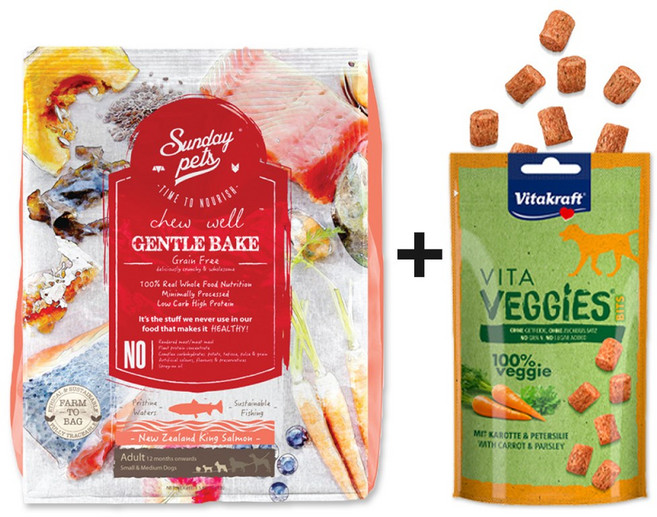 선데이펫 젠틀베이크 사료 그레인프리 초록입홍합 함유 + 사은품 증정, 1.3kg, 1개, 연어