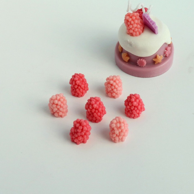 라즈베리 5구 몰드