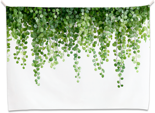 감개무냥 패브릭 포스터, 넝쿨비, 가로형, 대형