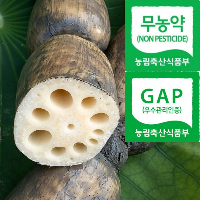 [당일수확발송] 농약안심 30년장인명품 흙연근 슬라이스연근, 1박스, 1kg(슬라이스)