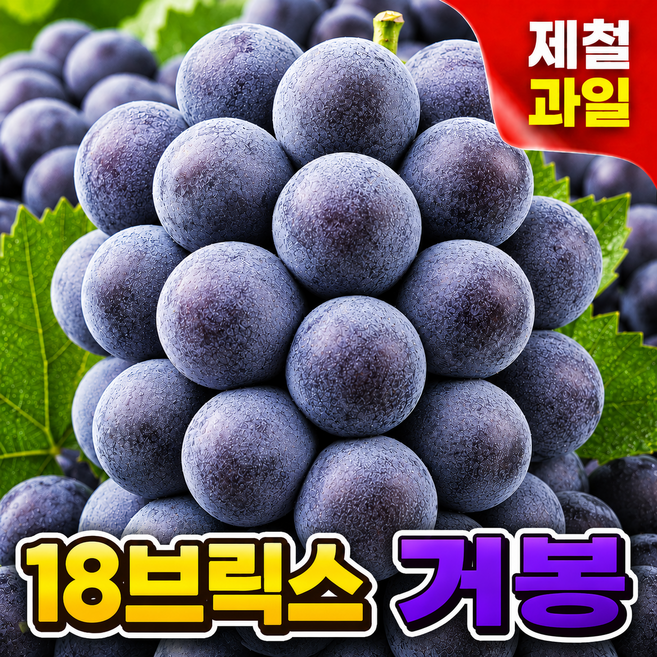 [제철한정특가]16~18brix 꿀당도 농가직송 거봉, 1박스, 500g