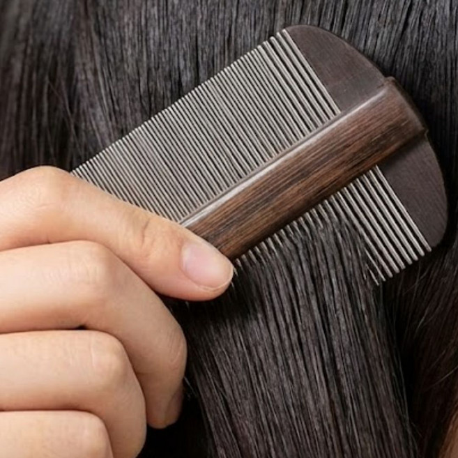 슬러피 촘촘한 스텐레스 비듬제거빗 각질제거 두피케어 헤어빗, 1개, 비듬참빗