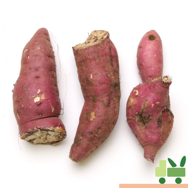 사라상회 고구마 2Kg (파지), 1개, 2Kg(1개)