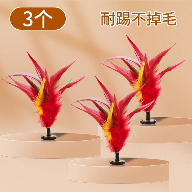 無品牌 鷄毛毽子兒童小學生運動專用成人踢鍵子比賽腱子幼兒園耐踢的健子, 1個, 3個小鷄毛毽 買一送二 掉毛包賠,每個毽子都埰用優質大公鷄羽毛