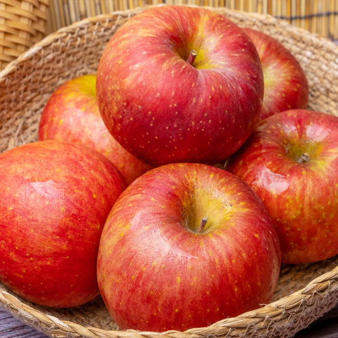 갓따온 아삭하고 달콤한 사과, 1개, 10kg (중과)