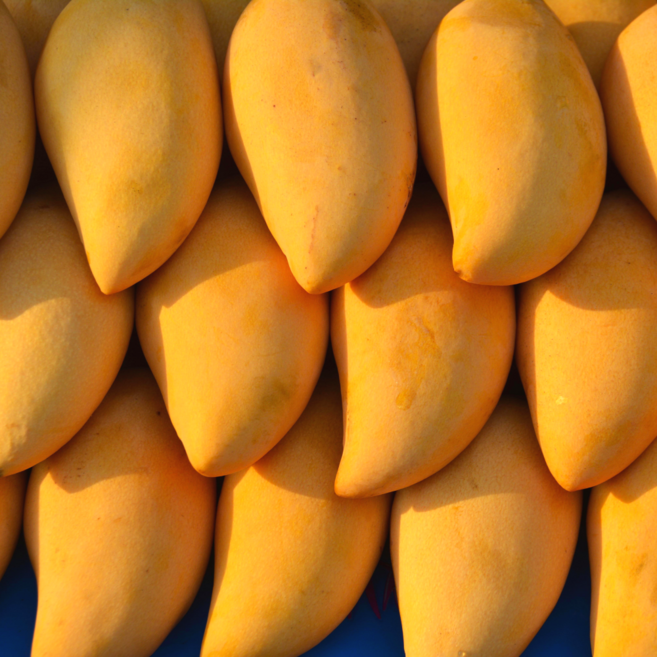 [고당도특품] 태국 골드망고 당도선별 항공수입, 1개, 대과 5kg