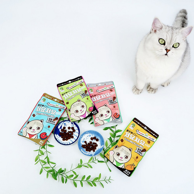 캐츠랑 저요저요 고양이 보양간식 4종 콤보 60g, 닭고기. 양고기. 연어. 참치, 3세트
