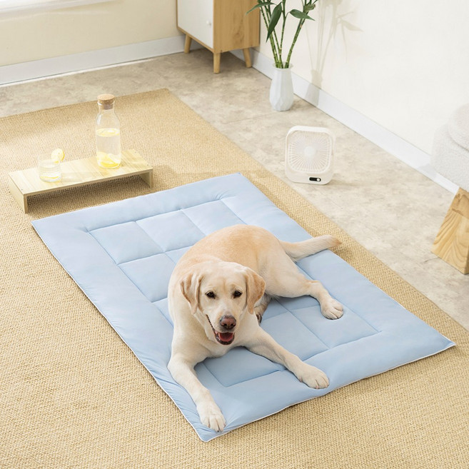 소하임 냉감 쿨링 통세탁 펫 방석, 아이스블루, 1개