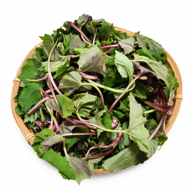 국내산 노지 야생초 머위나물, 500g, 1개