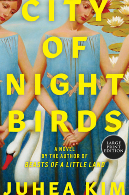 (영문도서) City of Night Birds Paperback, Harper Large Print, English, 9780063398351