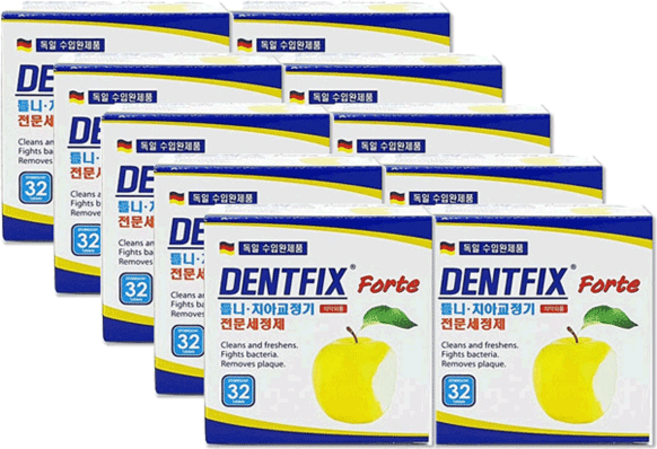 덴트픽스 포르테 틀니세정제, 32개입, 10개