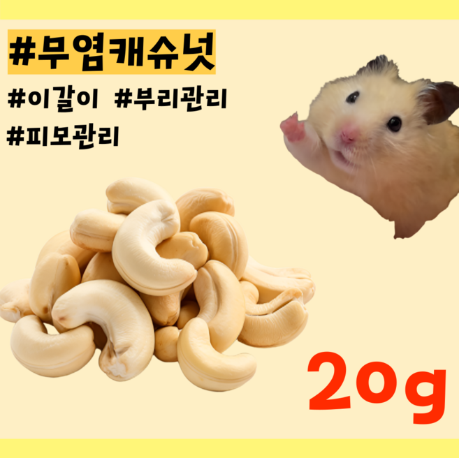 [내일도착] 100%자연 햄스터 이갈이 앵무새 애완조 부리관리 간식 무염 캐슈넛, 1개, 20g