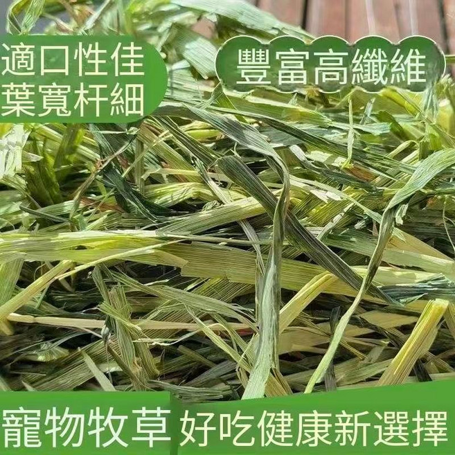 黃金提摩西一割 澳洲甜燕麥草 高纖磨牙神器 柔軟適口, 1個, 甜燕麦草-過篩1公斤