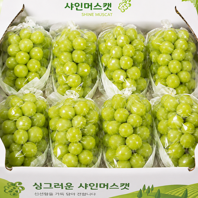 [한정특가] 최대17brix 초고당도 당도선별 샤인머스캣, 1박스, 2kg