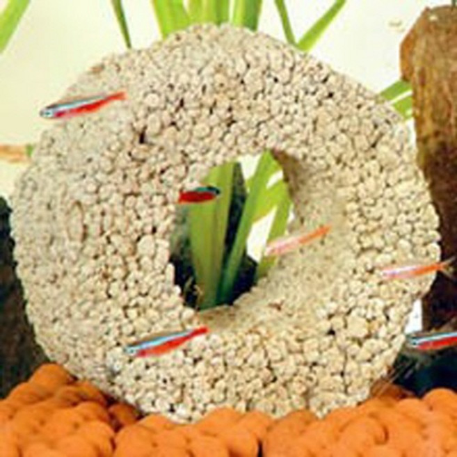 관상어 링 바이오 수조청소, 그린