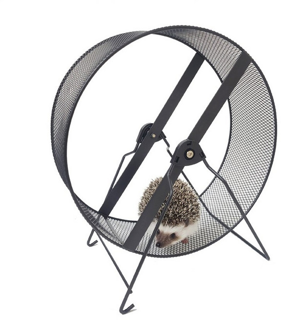 Dayang 메탈 쳇바퀴 32cm, 블랙, 1개