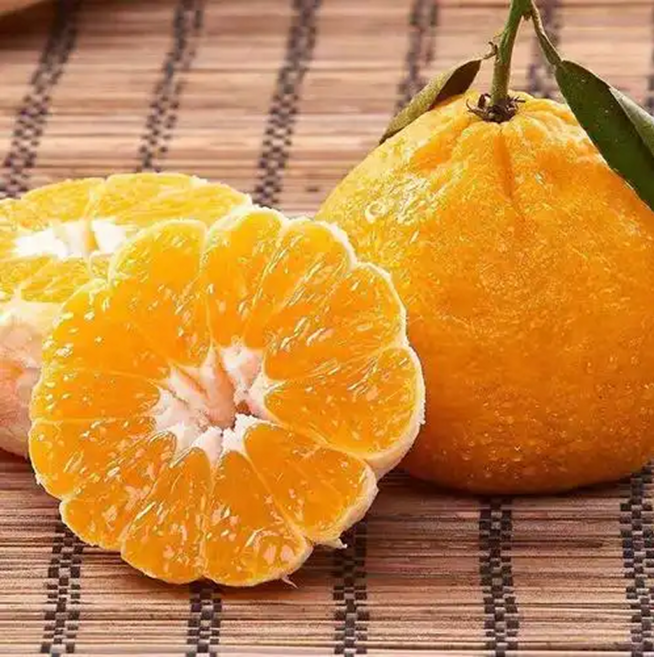 [한정수량특가]과즙듬뿍 신선가득 농가선별 제주 한라봉, 1박스, 2kg (중과)