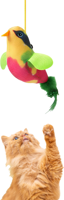 소요상점 소리 나는 고양이 새 장난감, 그린, 1개