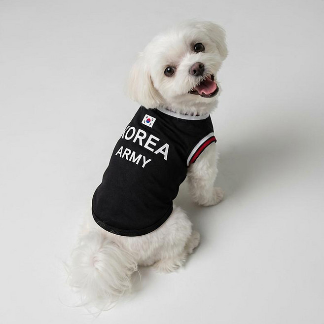 말랑마쥬 반려동물 커플티 코리아 로카티 아미 해병대 강아지옷 고양이옷, 1개, 아미티 [반려동물]