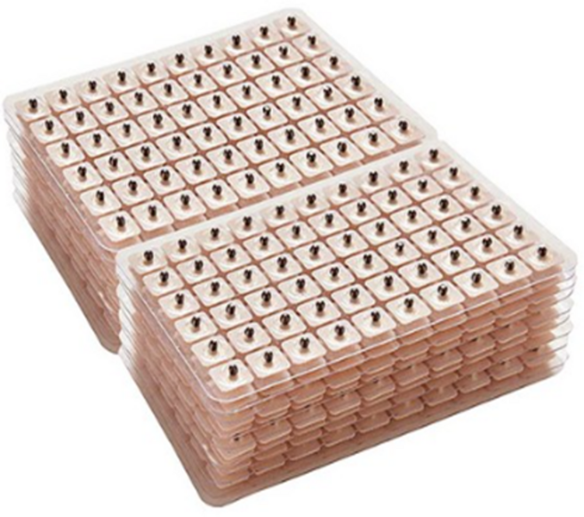 귀지압패치 이혈테라피 귀패치 지압스티커, 600개