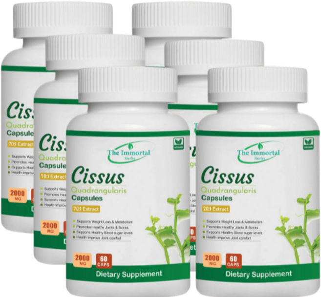 불멸의 시서스 캡슐 70배 고농축 시서스 2000mg x 60캡슐 분말 알약 씨저스 씨서스 (360캡슐), 60정, 6개