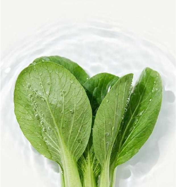 호텔 야채 세척법 비밀 재료 체리아숲, 1개, A. 화이트 발사믹식초 1병
