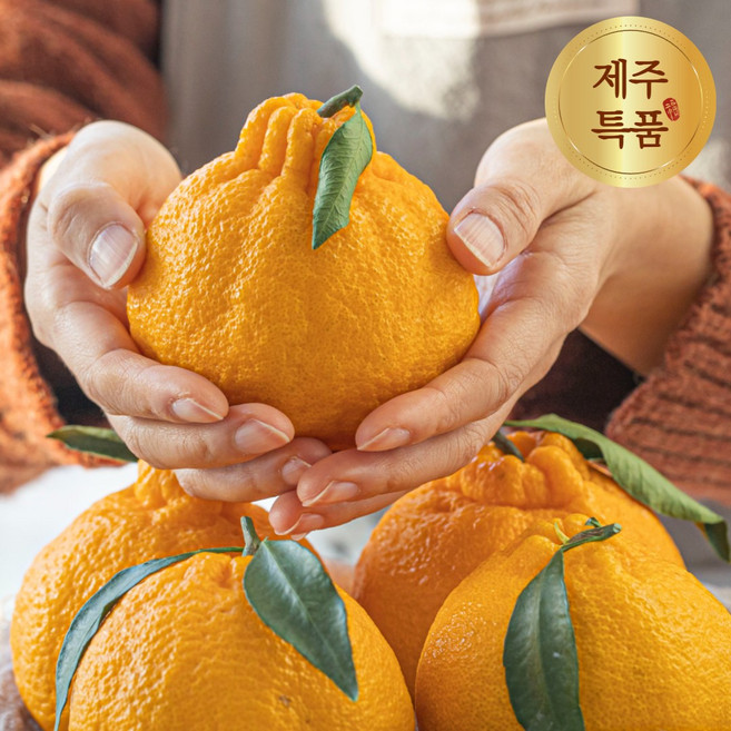 [당도선별] 더좋은 제주 한라봉 특품, 1개, 5kg(중소과)