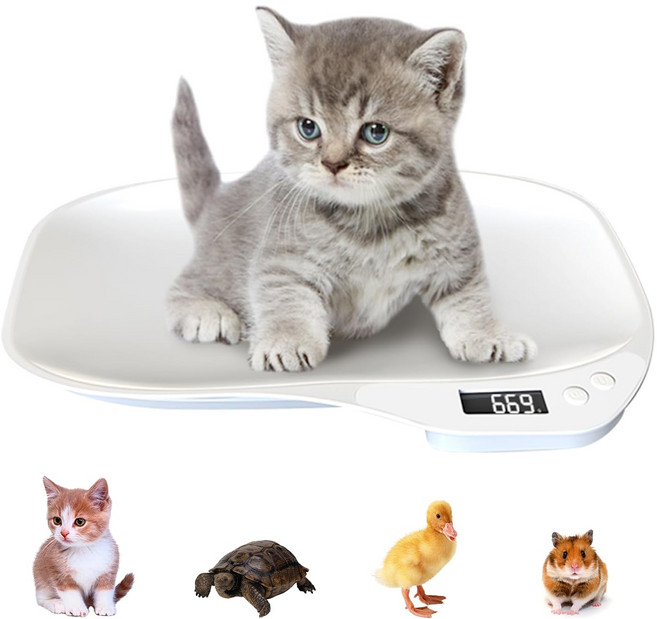 Max 15kg 강아지 고양이 유아 겸용 반려동물 체중계, 1개, 화이트, K18