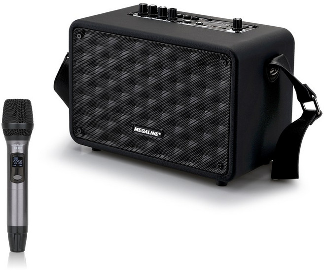 MEGALINE TA1100H TA-1100H 100W 강의용무선마이크 충전식앰프 이동식 휴대용 포터블엠프 가방포함, 본체 핸드마이크