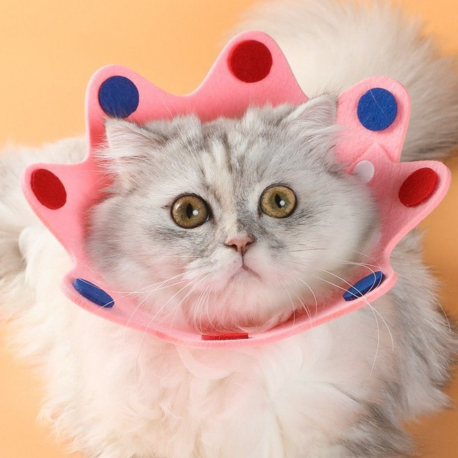 엘리자베스 링 고양이 칼라 부드러운 반지 애완 동물 용품 애완 동물 살균 고양이 스카프 애완 동물 이가 제거 고양이 칼라, L-큰 (참조 무게 11-16kg), 두꺼운 웨이브 도트 (핑크), 1개