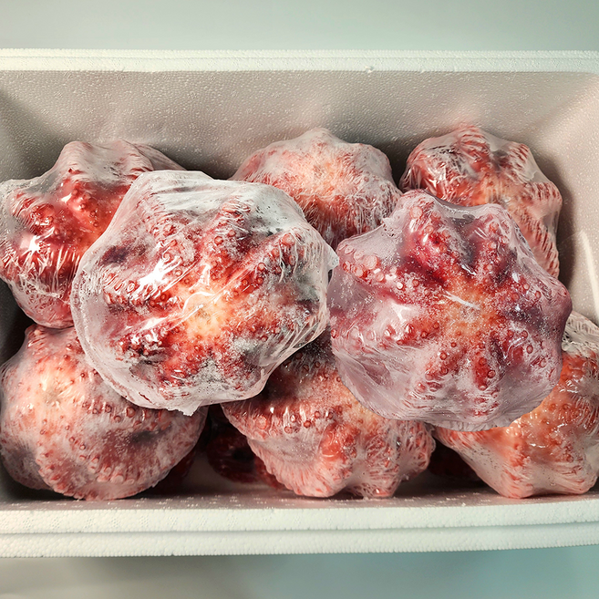 인산염 안쓴 자숙문어 필리핀 7/8미 대왕문어, 1박스, 9~10kg