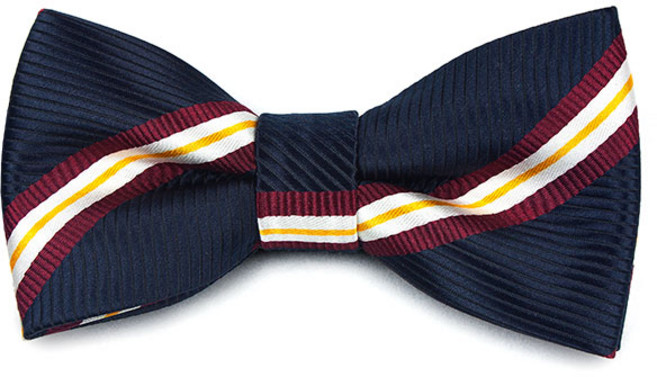 네이비 삼색 사선 포인트 보타이_나비넥타이